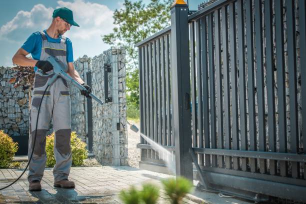 Best Solar Panel Cleaning  in Alma, MI